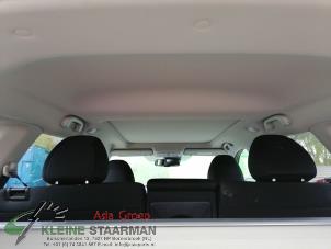 Gebrauchte Dachverkleidung Nissan X-Trail (T32) 1.6 DIG-T 16V Preis € 150,00 Margenregelung angeboten von Kleine Staarman B.V. Autodemontage