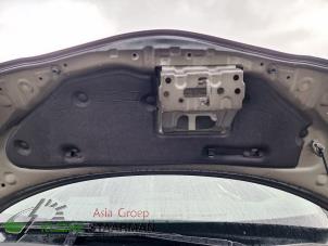 Używane Wygluszenie pokrywy silnika Toyota Aygo (B40) 1.0 12V VVT-i Cena na żądanie oferowane przez Kleine Staarman B.V. Autodemontage