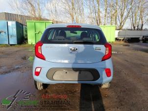 Used Rear panel bodywork Kia Picanto (JA) 1.2 16V Price on request offered by Kleine Staarman B.V. Autodemontage