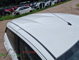 Gebrauchte Dach Toyota Aygo (B40) 1.0 12V VVT-i Preis auf Anfrage angeboten von Kleine Staarman B.V. Autodemontage