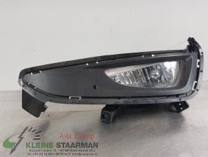 Usagé Feu antibrouillard avant droit Hyundai Tucson (TL) 1.7 CRDi 16V Prix € 75,00 Règlement à la marge proposé par Kleine Staarman B.V. Autodemontage