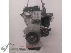 Used Engine Hyundai i20 (GBB) 1.2i 16V Price on request offered by Kleine Staarman B.V. Autodemontage