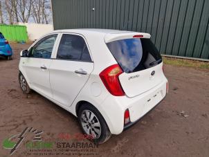 Used Rear left bodywork corner Kia Picanto (TA) 1.0 12V Price on request offered by Kleine Staarman B.V. Autodemontage