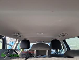 Gebrauchte Dachverkleidung Hyundai i30 Wagon (PDEF5) 1.0 T-GDI 12V Preis auf Anfrage angeboten von Kleine Staarman B.V. Autodemontage