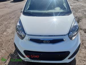 Used Bonnet Kia Picanto (TA) 1.0 12V Price on request offered by Kleine Staarman B.V. Autodemontage