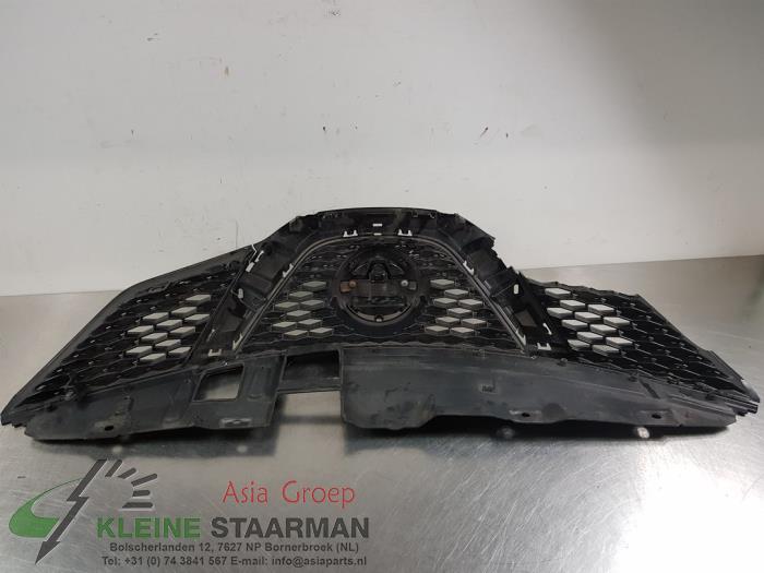 Grille from a Nissan Qashqai (J11) 1.6 dCi 2016