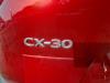 Mazda CX-30 (DM) 2.0 e-SkyActiv-G 122 16V Steuergerät sonstige