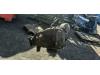 Rear differential from a BMW 3 serie (E90) 320d 16V Corporate Lease 2008