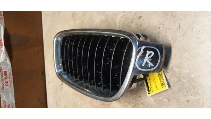 Grill BMW 3 serie 320d 2.0 16V EfficientDynamicsEdition - 18801310 