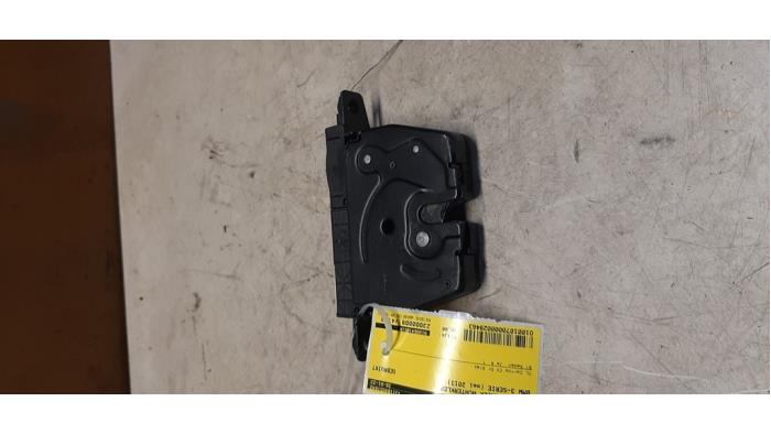 Tailgate lock mechanism from a BMW 3 serie (F30) 320d 2.0 16V EfficientDynamicsEdition 2013