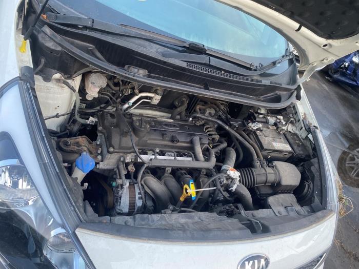 Moteur Kia Rio III 1.2 CVVT 16V G4LAGP002