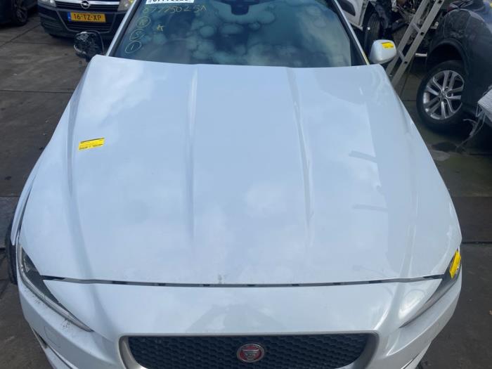 Używane Maska Jaguar XE 2.0d 180 16V Cena € 435,60 Z VAT oferowane przez Autosloperij de Turk
