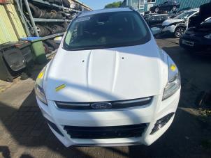 Gebrauchte Motorhaube Ford Kuga II (DM2) 2.0 TDCi 16V 180 4x4 Preis € 272,25 Mit Mehrwertsteuer angeboten von Autosloperij de Turk