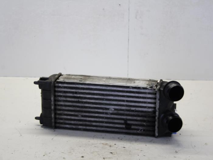 Usados Intercooler Peugeot 308 (4A/C) 1.6 HDi 16V FAP Precio de solicitud ofrecido por Gebr Opdam B.V.