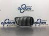 BMW 1-Serie 03- Grill