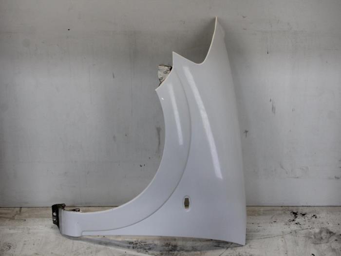 Front wing, left from a Citroën C3 (FC/FL/FT) 1.4 HDi 2010