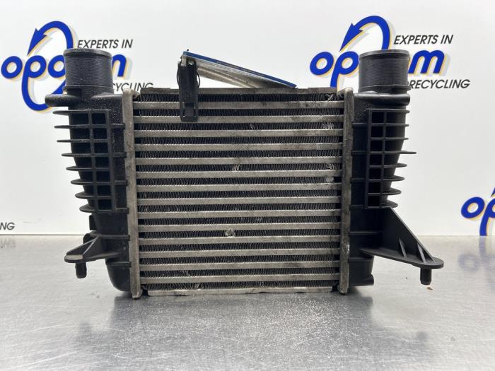 Usados Intercooler Renault Clio III (BR/CR) 1.5 dCi 85 Precio € 30,00 Norma de margen ofrecido por Gebr Opdam B.V.