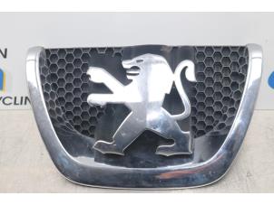 Used Grille Peugeot 207/207+ (WA/WC/WM) 1.4 16V VTi Price on request offered by Gebr Opdam B.V.