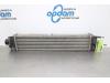 Intercooler from a Opel Combo, 2012 / 2018 1.3 CDTI 16V, Delivery, Diesel, 1.248cc, 70kW (95pk), FWD, 330A1000, 2016-03 / 2018-12 2018