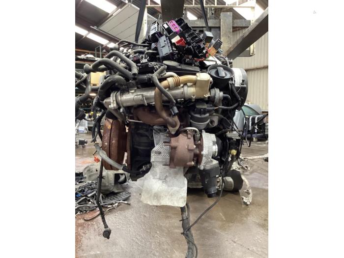 Used Engine Audi A5 Sportback (8TA) 2.0 TDI 16V Price € 978,00 Margin scheme offered by Gebr Opdam B.V.