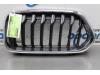 Grill van een BMW X2 (F39), 2017 / 2023 xDrive 20d 2.0 16V, SUV, Diesel, 1.995cc, 140kW (190pk), 4x4, B47C20B, 2017-11 / 2023-10, YL11; YL12 2018