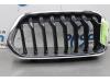 Grill van een BMW X2 (F39), 2017 / 2023 xDrive 20d 2.0 16V, SUV, Diesel, 1.995cc, 140kW (190pk), 4x4, B47C20B, 2017-11 / 2023-10, YL11; YL12 2018