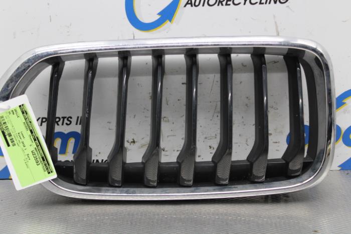 Grill van een BMW X2 (F39) sDrive 18i 1.5 12V TwinPower Turbo 2019