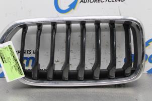 Gebrauchte Grill BMW X2 (F39) sDrive 18i 1.5 12V TwinPower Turbo Preis auf Anfrage angeboten von Gebr Opdam B.V.