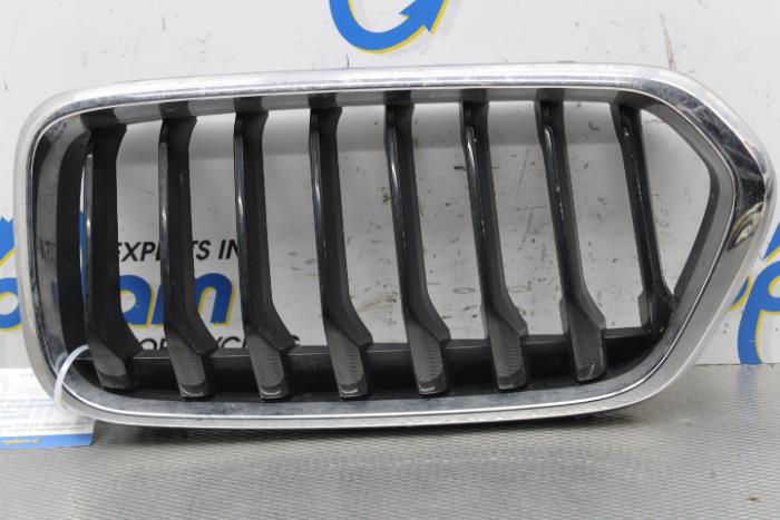 Używane Grill BMW X2 (F39) sDrive 20i 1.5 12V TwinPower Turbo Cena na żądanie oferowane przez Gebr Opdam B.V.
