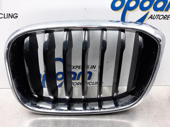 Begagnade Grill BMW X3 Pris € 42,00 Marginaltabell erbjuds av Gebr Opdam B.V.