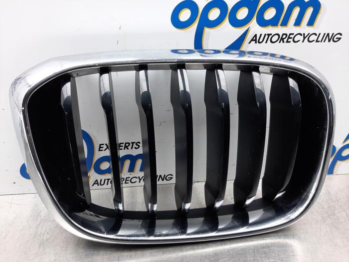 Używane Grill BMW X3 Cena € 42,00 Procedura marży oferowane przez Gebr Opdam B.V.