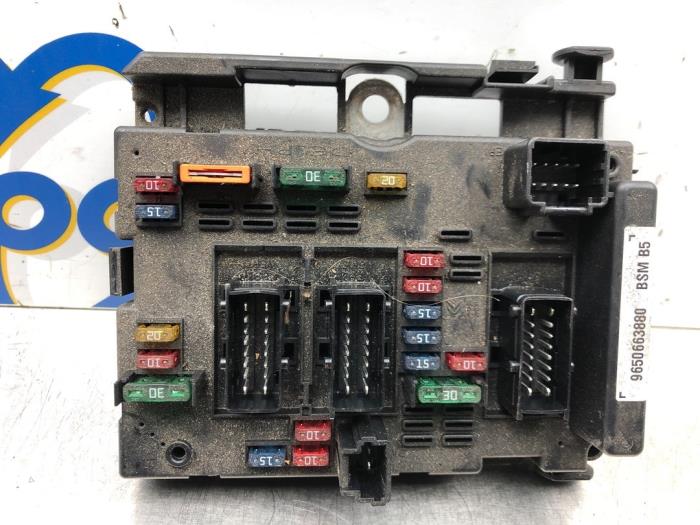 Fuse box Peugeot 307 CC 2.0 16V - 9650663880 DELPHI