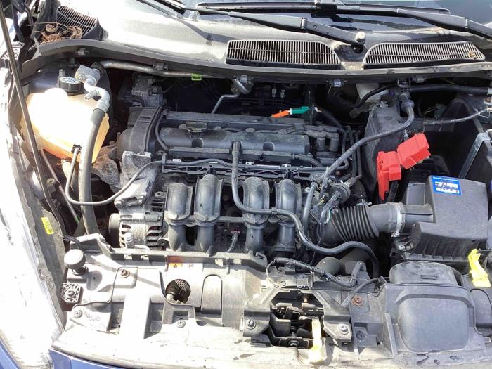 Moteur Ford Fiesta 6 1 25 16V 1713369 STJC Gebr Opdam B V 