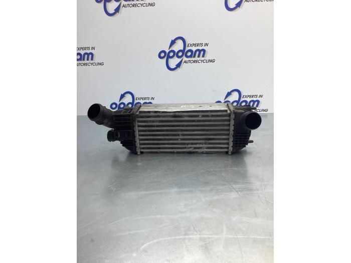 Usados Intercooler Peugeot 508 (8D) 2.0 Hybrid4 16V Precio € 42,00 Norma de margen ofrecido por Gebr Opdam B.V.