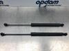 Renault Clio III (BR/CR) 1.5 dCi FAP Set of tailgate gas struts