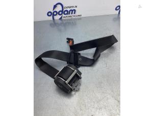 Used Front seatbelt, right Ford Transit Connect 1.8 TDCi 75 Price € 35,00 Margin scheme offered by Gebr Opdam B.V.