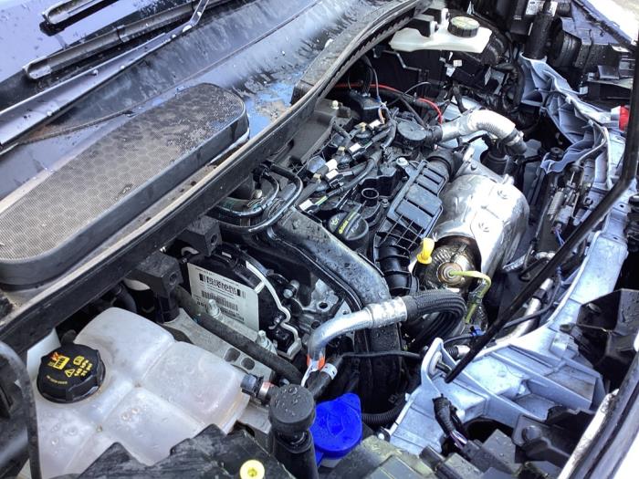 Engine Ford Transit Connect 1.5 EcoBlue 2314294 BEGA