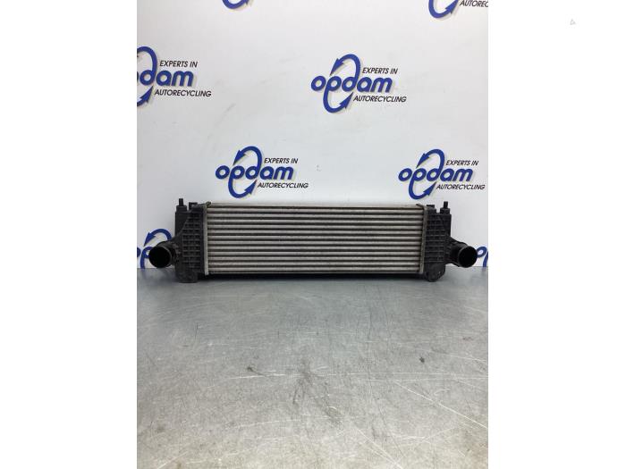 Used Intercooler Iveco Daily Price € 283,14 Inclusive VAT offered by Gebr Opdam B.V.