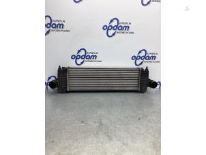 Used Intercooler Iveco Daily Price € 332,75 Inclusive VAT offered by Gebr Opdam B.V.