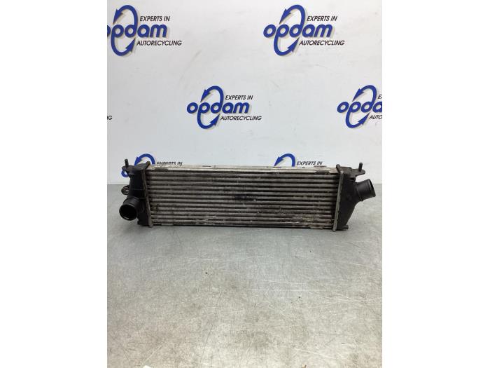 Usados Intercooler Renault Trafic New (FL) 2.5 dCi 16V 115 FAP Precio € 34,00 Norma de margen ofrecido por Gebr Opdam B.V.