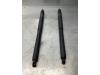 BMW X5 (E70) xDrive 30d 3.0 24V Set of gas struts for boot