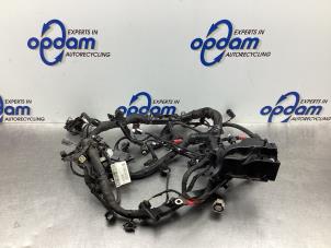 Używane Wiazka przewodów maszynowia Ford Fiesta 7 1.0 EcoBoost 12V 100 Cena € 125,00 Procedura marży oferowane przez Gebr Opdam B.V.
