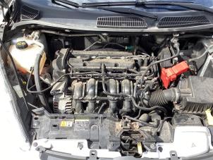 Used Engine Ford Fiesta 6 (JA8) 1.25 16V Price € 600,00 Margin scheme offered by Gebr Opdam B.V.