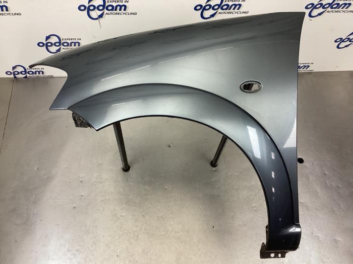 Front wing, left from a Citroën C3 (FC/FL/FT) 1.4 2005
