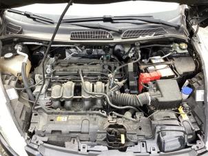 Used Engine Ford Fiesta 6 (JA8) 1.6 16V Sport Price € 750,00 Margin scheme offered by Gebr Opdam B.V.