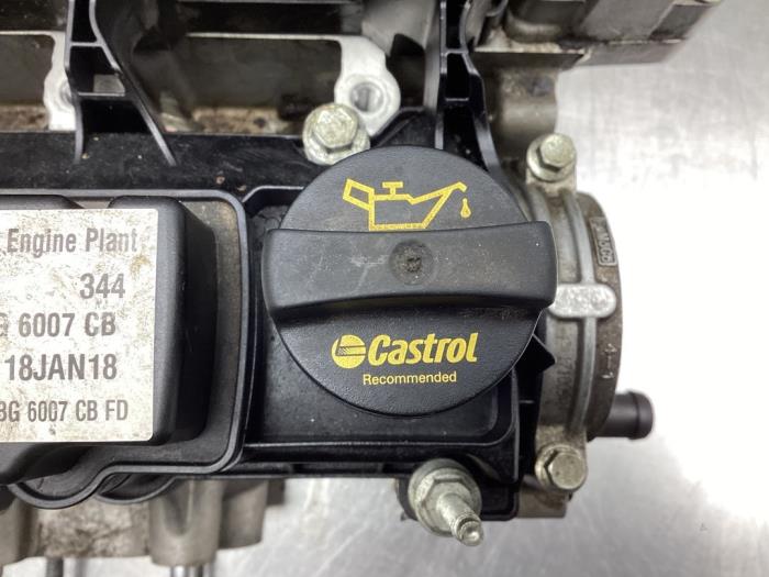 Gebrauchte Ölkappe Ford Fiesta 7 1.0 EcoBoost 12V 100 Preis € 22,00 Margenregelung angeboten von Gebr Opdam B.V.