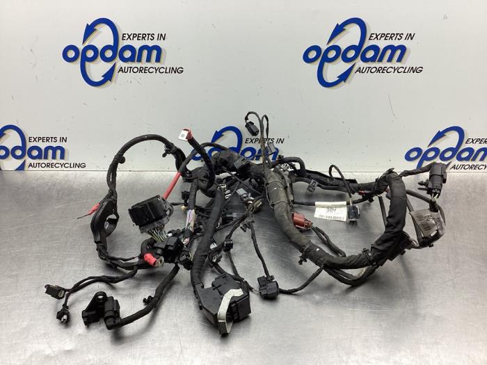 Wiring harness engine room from a Ford Fiesta 7 1.0 EcoBoost 12V 100 2018