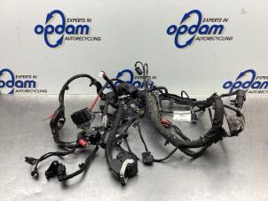 Usados Mazo de cables compartimento motor Ford Fiesta 7 1.0 EcoBoost 12V 100 Precio € 125,00 Norma de margen ofrecido por Gebr Opdam B.V.