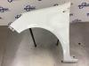 Renault Clio III (BR/CR) 1.2 16V TCe 100 Front wing, left