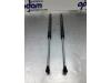 Renault Clio III (BR/CR) 1.2 16V TCe 100 Set of tailgate gas struts